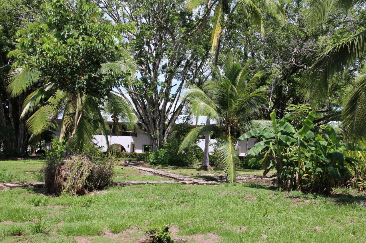 Apartamento Paradise Breeze 2Bdr Near Quepos Manuel Antonio Exterior foto